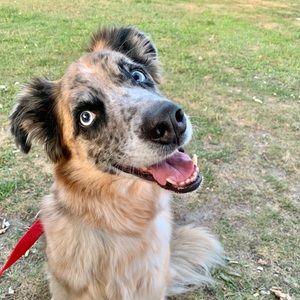 Meet your Posher, Catherine